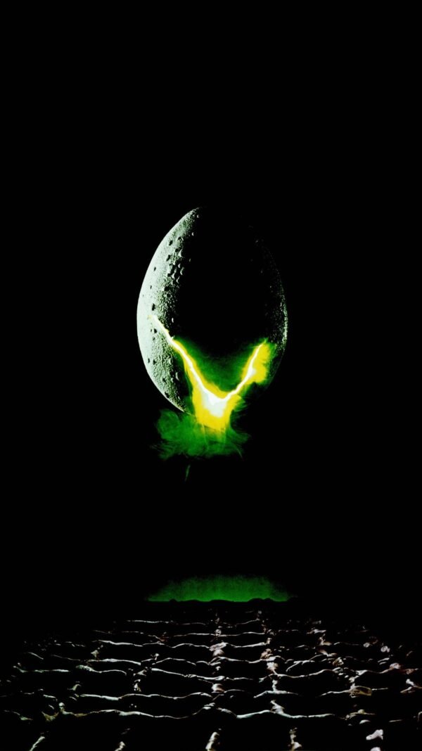 Alien 1979 Xenomorph Egg In Portrait 30"x40" Poster/Canvas